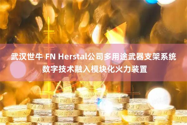 武汉世牛 FN Herstal公司多用途武器支架系统 数字技术融入模块化火力装置