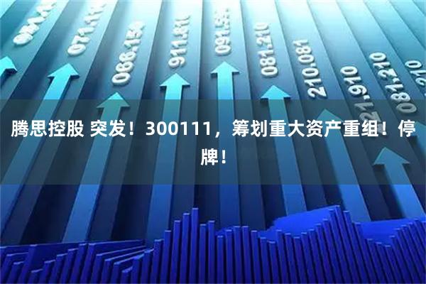 腾思控股 突发!300111,筹划重大资产重组!停牌!