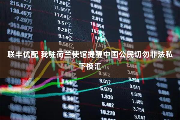 联丰优配 我驻荷兰使馆提醒中国公民切勿非法私下换汇