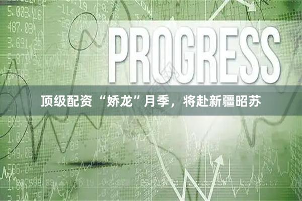 顶级配资 “娇龙”月季，将赴新疆昭苏