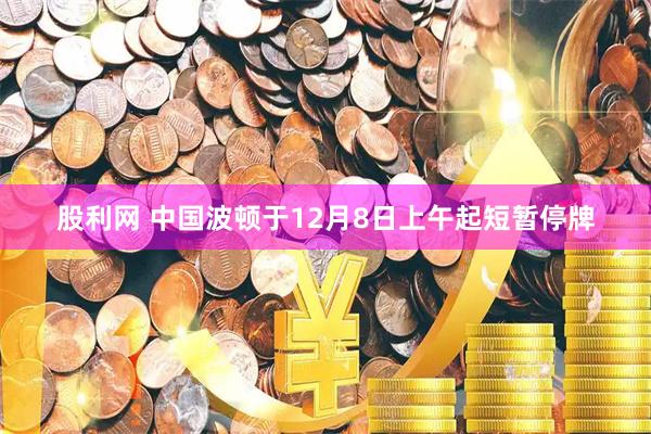 股利网 中国波顿于12月8日上午起短暂停牌