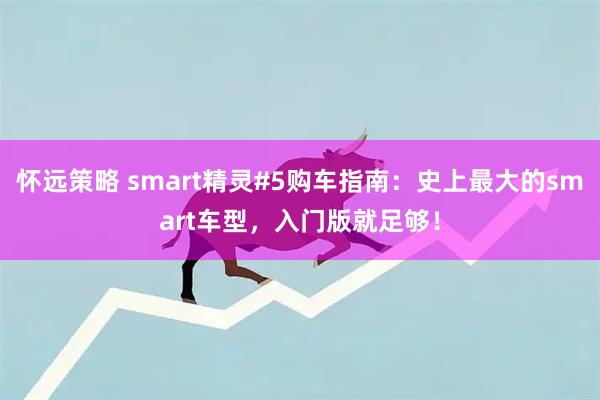 怀远策略 smart精灵#5购车指南：史上最大的smart车型，入门版就足够！