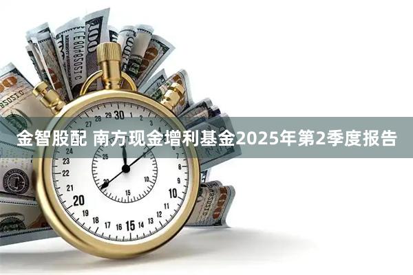 金智股配 南方现金增利基金2025年第2季度报告