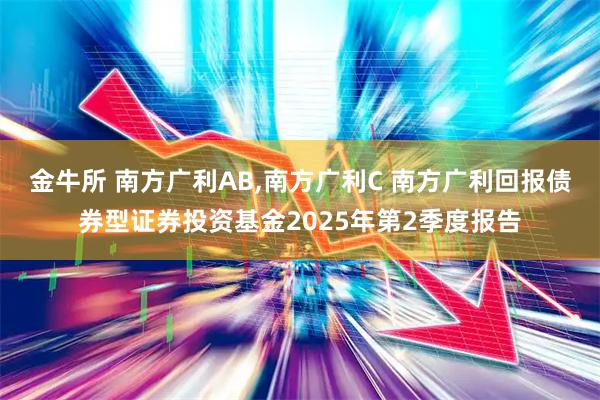金牛所 南方广利AB,南方广利C 南方广利回报债券型证券投资基金2025年第2季度报告